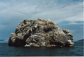 Остров Камешек Безымянный (Белый, Омулевый) : Чивыркуйский залив