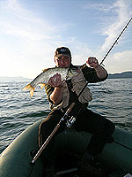 Язь, пойманный на Чивыркуйском заливе озера Байкал. Июнь 2004 года.