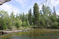 Река Большой Чивыркуй, Чивыркуйский залив, июль 2005 года ...