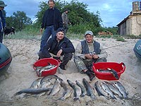 Улов. Июль 2005 года, Байкал, Чивыркуйский залив.
